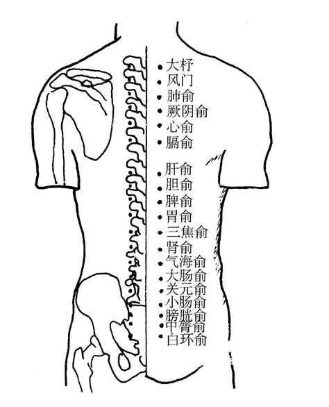 五俞穴口訣|《天人合一大中医第三部 (针灸)：大道简易学针灸》选。